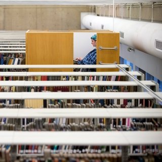Student studying in library treehouse
