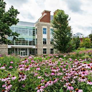 Johnson Hall of Science in the background with purple wildflowers in the foreground