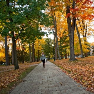 A student walking up a brick pathway lined with trees at peak fall foliage.