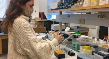 A student wearing a face mask performs bench work in the biology lab.