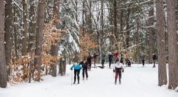 A group of cross-country skiers practice racing on a snowy path in a wooded forest.