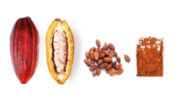 Chocolate ingredients