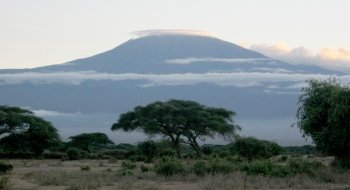 A photo of a landscape in Kenya, trees in the foreground, and a mountain in the background.