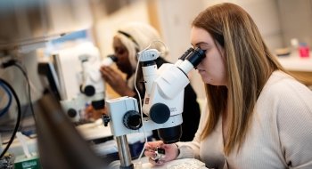 A student peers into a microscope while working in a science lab.