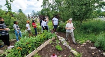 students surrounding a garden bed