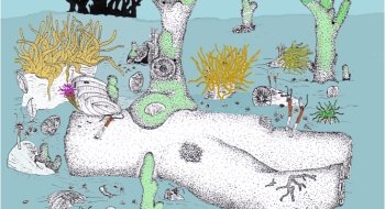 Illustration of fossils