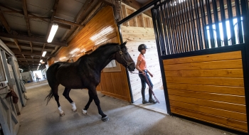 A photo of one of the new stalls.