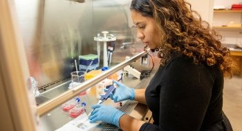 A Saint Lawrence student, wearing blue rubber gloves, holds a syringe and conducts research in a lab.