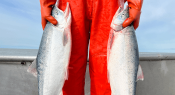 Jessica Normandeau, wearing bright red rubber waders, holds two large silver salmon while standing on a boat deck.
