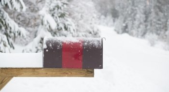 A scarlet and brown mailbox sits on a wooden post on the edge of a snowy road lined with evergreen trees.