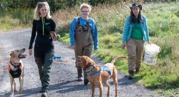 Three people wearing waders, walk behind two happy dogs on a trail after searching for turtles in the woods.