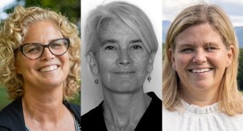 Liz Regosin, Kathleen Fitzgerald, Cali Brooks.