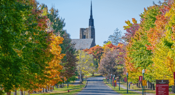 Saint Lawrence University's campus entrance filled with trees