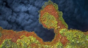 Charlie Reinertsen Northern Peatlands No. 3, 2023 Archival inkjet print on Hahnemuhle photo rag 308 gsm paper Richard F. Brush Art Gallery SLU 2023.17