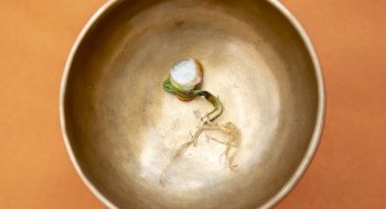 Torrance York, Untitled 6293, 2021, from Semaphore, archival pigment print