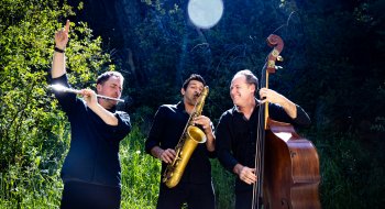 Project Trio ensemble S26