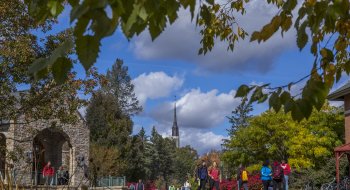 Campus in the fall