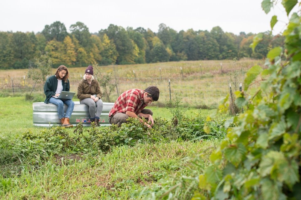 Students working in a field