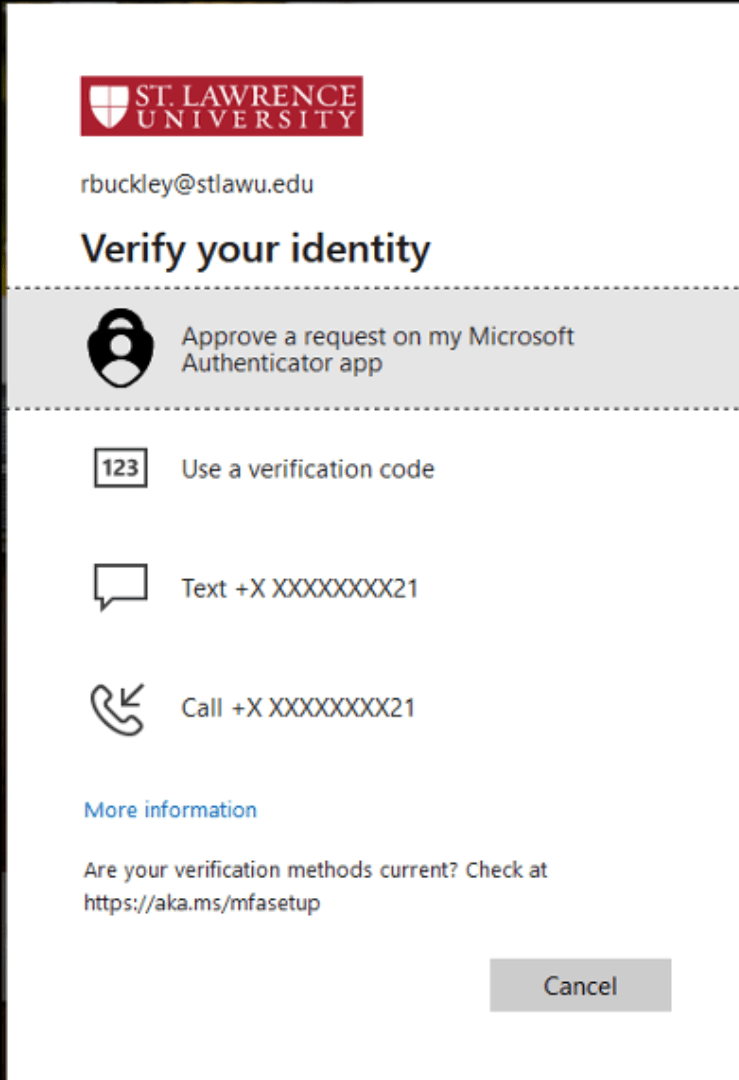 A screenshot of a Verify Your Identity page. At the top is "Approve a request on my Microsoft Authenticator App," and below that is "Use a verification code."