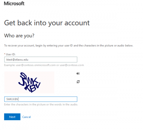 Screenshot of the Microsoft password reset webpage