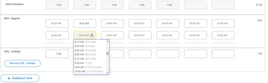 Screenshot of Time Entry 