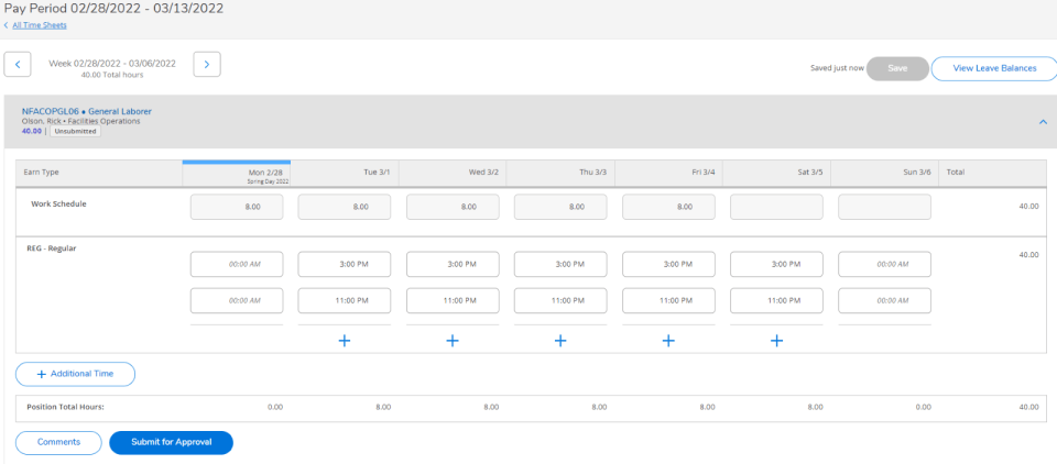 Screenshot of time entry webpage