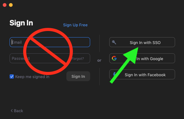 Screenshot of Zoom App Sign In Page