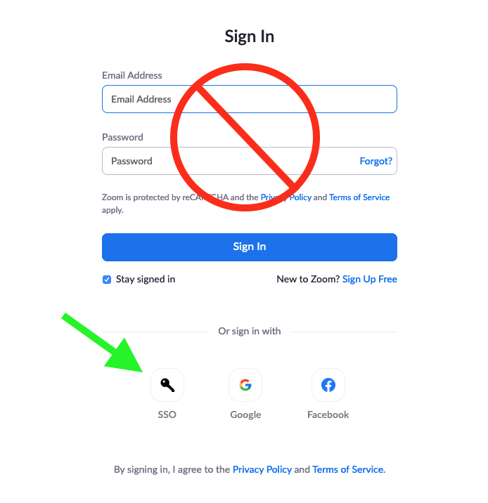 Screenshot of Zoom Sign In Page