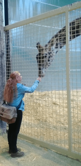 A woman greeting a giraffe