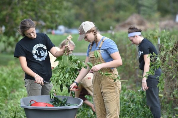 Students working in a garden