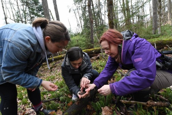 Students and their professor work on a biology lab at Higley Flow State Park.