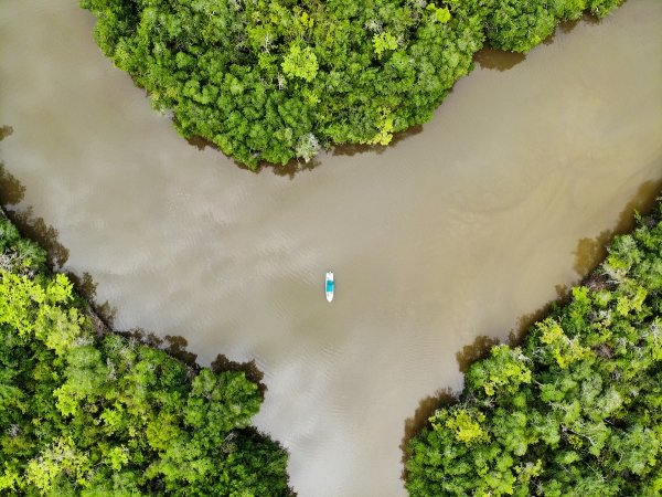 An aerial view of a white and blue boat floating on brown waterway, surrounded by green trees, in Belize.