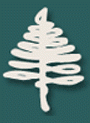 TAUNY evergreen logo