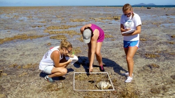 Three Students Studying the Coral Reef in Australia