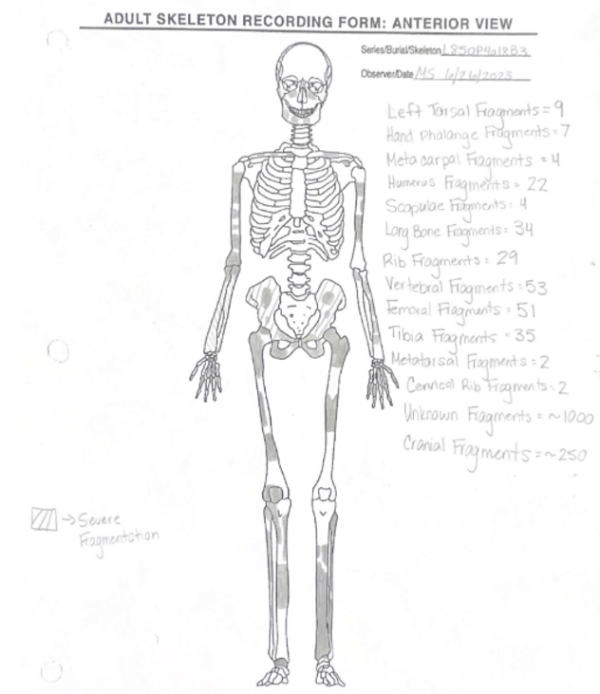 Adult Skeleton Recording Form