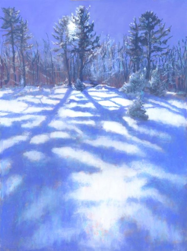 Solstice, Diane Leifheit, pastel on Pastel Premier, 24 x 18”