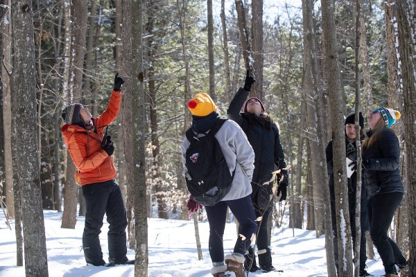 Saint Lawrence students and faculty stand in the snow in the woods and point at the sky in observation of birds.