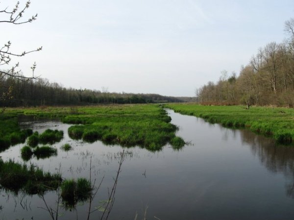 St Lawrence Land Trust