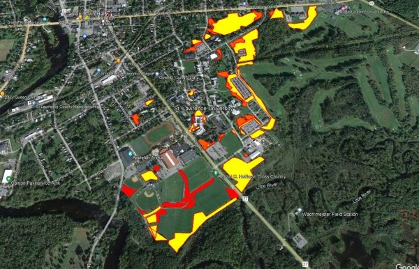 SLU Tree Campus 2024 - No Mow Zones