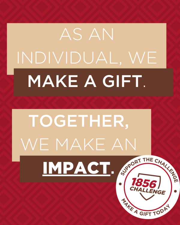 Support the Challenge