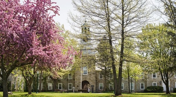 Spring Sykes Picture