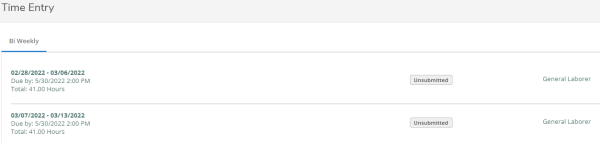 Screenshot of Pay Entry