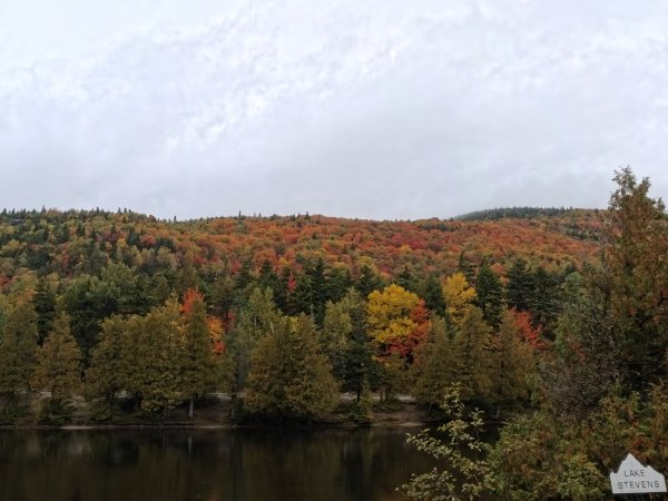 Changing trees on the slopes of Whiteface during Ecology class.