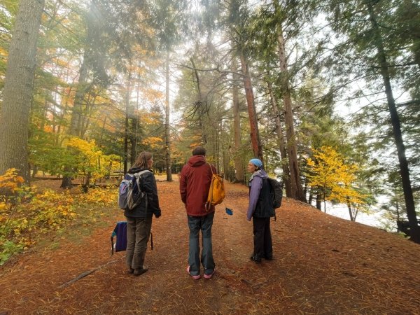 Eva, Lars, and Marina appreciating a woodpecker at work.