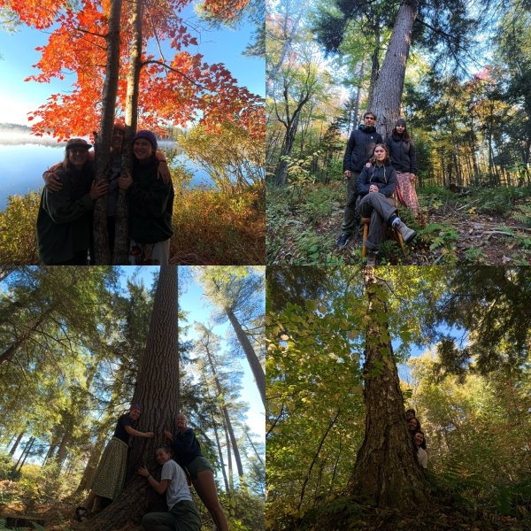 Yurt mates with their corresponding trees.