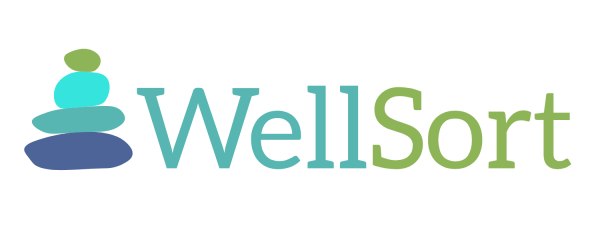 The logo for WellSort card sort activity, featuring stacked rocks and the product name.