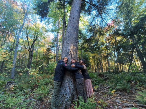 Hemlock Yurt (Eva-Jo, Lars, Jordanna) hugging a hemlock tree.