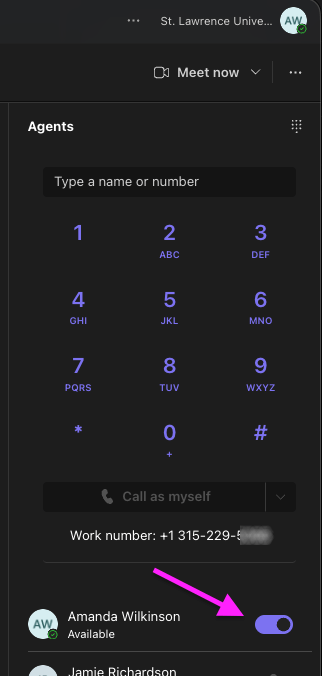 A screenshot of the Call Queue window