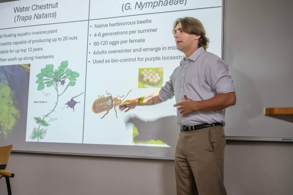 A person gestures toward a presentation slide detailing the water chestnut plant and a native herbivorous beetle used for biocontrol.
