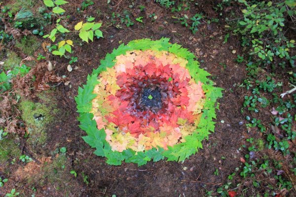 Circle of Life 1